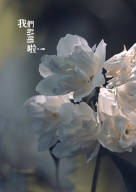 我们要结婚啦图片素材