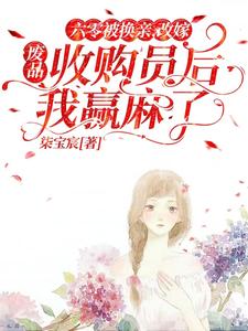 六零寡妇再嫁完结了吗